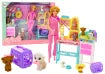 Veterinary doll set - Treatment furniture, accessories, pets