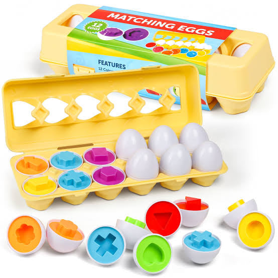 Shape Matching Eggs 12 eggs
